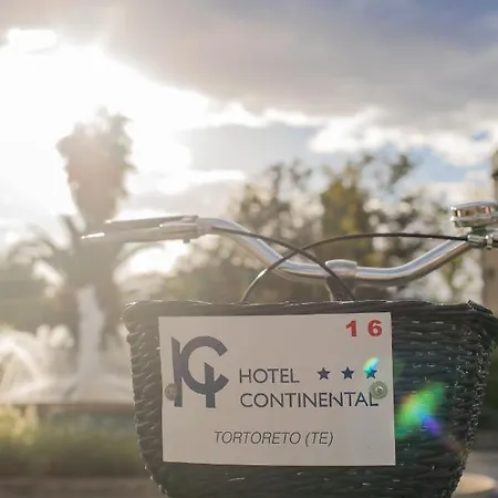 Hotel Continental 3*