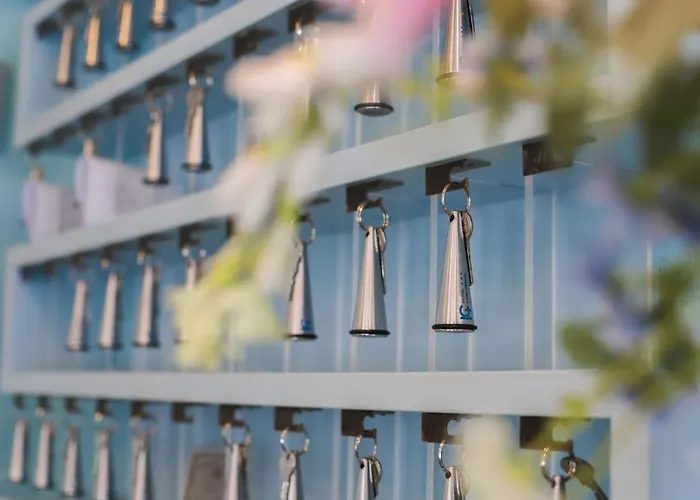 Continental Торторето